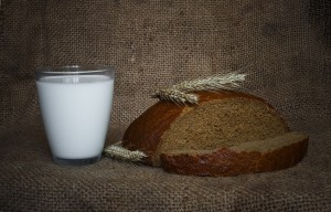 bread milk food allergies