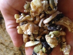 granola in hand