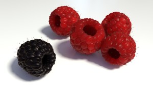 berries-1200533_640